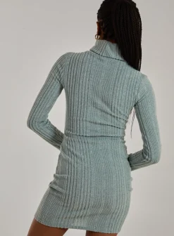 Chunky Brushed Rib Roll Neck Dress