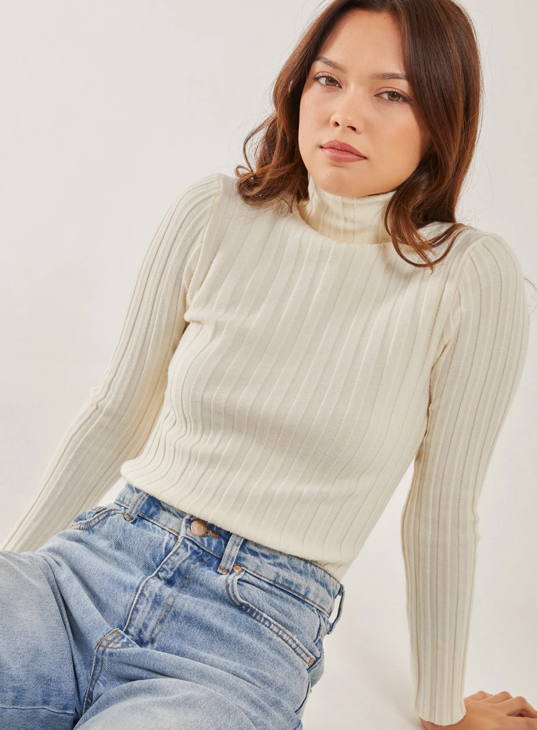 Soft Knit Wide Rib Roll Neck Top